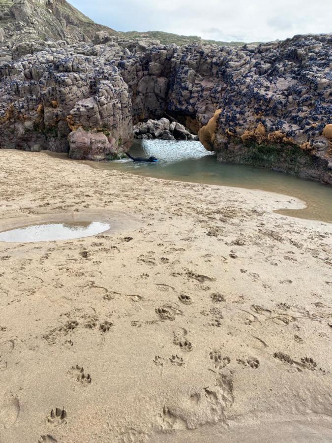 Morwenna Lodge Bude Zewnętrze zdjęcie